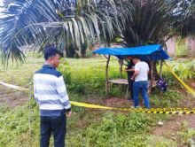 Diduga Korban Pembunuhan Warga Padangsidimpuan Ditemukan Tewas Mengenaskan Dilokasi  kebun Ubi