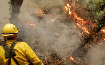 Kemarau di Samosir, 350 Hektare Hutan Terbakar