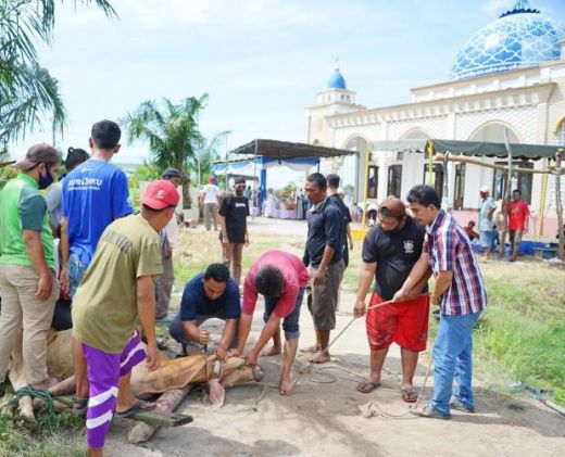 Keluarga Bobby Nasution Rutin Berkurban di Masjid Jami’ Hanifah