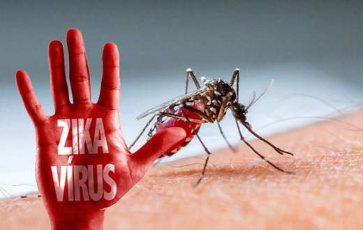 Dinkes Kabupaten/kota Diminta Deteksi Dini Virus Zika