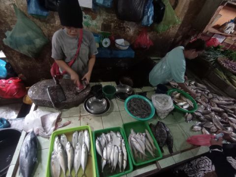 Imbas Solar Langka, Pedagang Ikan di Medan Gulung Tikar 
