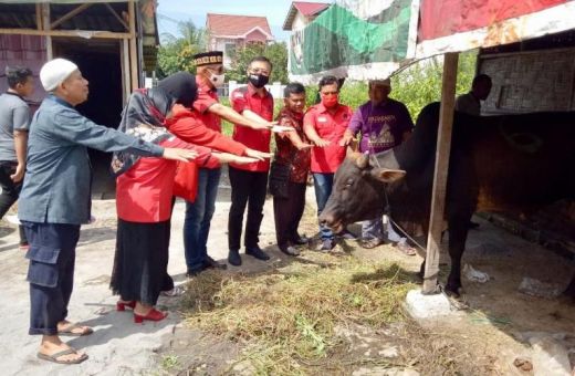 Daging Kurban PDI Perjuangan dan Bobby Nasution Dibagikan Door to Door
