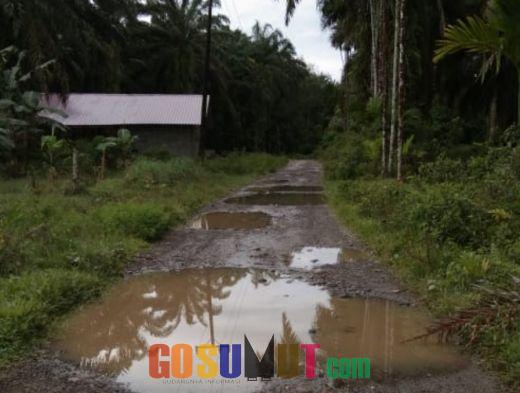 Jalan Dusun Tanjung Naman Layak Aspal, Begini Respon Anggota DPRD Langkat