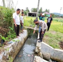Warga Temukan Orok Bayi Dalam Saluran Air Sawah di Padang Sidimpuan