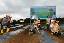 Pj Gubernur Dorong Pengembangan Kawasan Pertanian Terpadu Dairi Hingga Jadi Penyokong Pangan Sumut