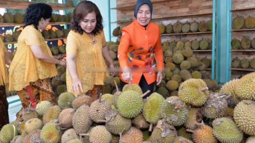 Durian Sumut Bepotensi Jadi Produk Andalan Daerah Kata Wagubsu