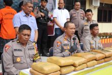Polres Madina Gagalkan Penyelundupan 21  Paket Ganja yang Akan Dikirim ke Jakarta