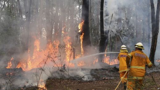 8 Ha Hutan di Samosir kembali Terbakar
