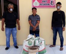 Merugi Rp3 Juta, PTPN III Titipkan Bandot di Polsek Kota Pinang