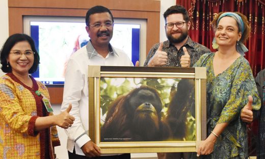 Tengku Erry Tegaskan Lindungi Orangutan Tapanuli