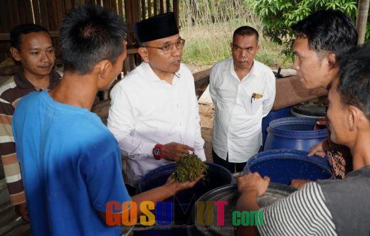 Balon Bupati Simalungun DR. H. Anton Achmad Saragih Akan Tingkatkan Sektor Peternakan