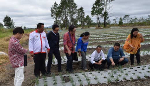 Jepang Jajaki Potensi Bidang Pertanian di Tapanuli Utara