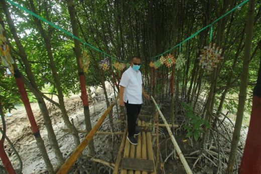 Akhyar Rencanakan Pengembangan Wisata Mangrove di Medan Marelan