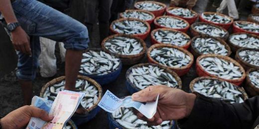 Pasokan Minim, Ikan Laut Langka di Pasar Tradisional Simalungun dan Siantar