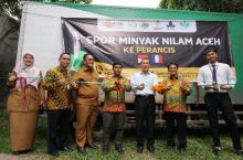 Minyak Nilam Aceh Senilai Rp2,5 Miliar Diekspor ke Perancis