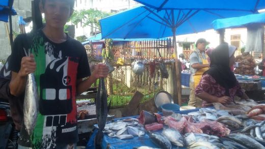 Nelayan Takut Melaut Memicu Kenaikan Harga Ikan