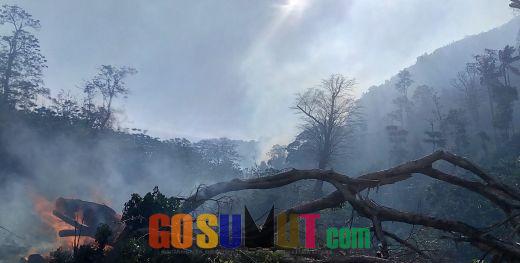 Kaop Manggala Agni: Kebakaran Hutan di Palas Seharusnya jadi Bencana Nasional