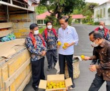 Terima Oleh-oleh 3 Ton Jeruk dari Karo, Jokowi Perintahkan Menteri PUPR Perbaiki Jalan Rusak di Desa Liang Melas