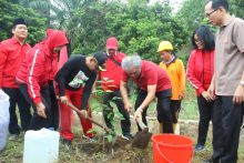 Aksi Penanaman 5.000 Pohon, Akhyar Imbau Yok Bikin Cantik Medan