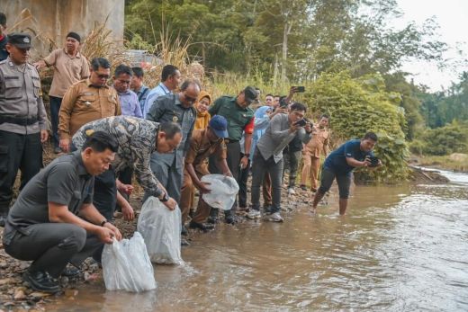 Ribuan Benih Ikan Ditabur Di 6 Lubuk Larangan di Padangsidimpuan
