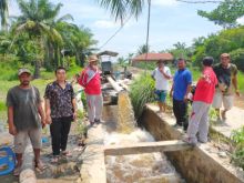 Persawahan di Desa Perbangunan Asahan Kering, PT IPS Sediakan Mesin Pompa Air  