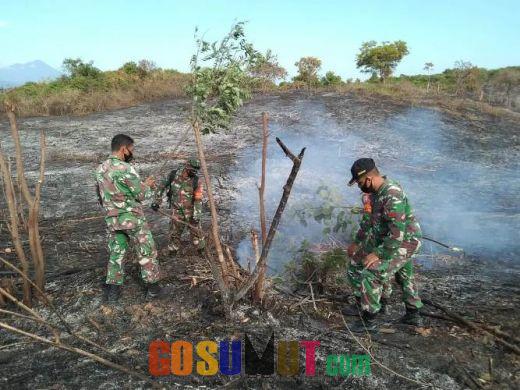 Kebakaran Hutan di Pidie Hanguskan 5 Hektar Lahan