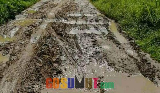 Jalan Perjuangan Desa Cempedak Lobang Dusun 4 Babakbelur, Ini Komentar Kadis PUPR dan Camat Seirampah