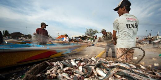 Pasokan Melimpah, Harga Ikan di Medan Mulai Turun