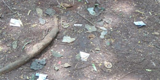 Diduga Tempat Mesum, Kondom Bekas Berserakan di Taman Bunga