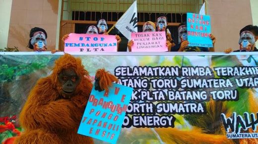 Direktur : Walhi tak Terlibat Soal Kampanye Orangutan