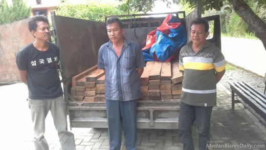 3 Pelaku Ilegal Logging di TNGL Tertangkap Basah Tim Gabungan