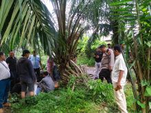 Kapolres Palas Pimpin Penggerebekan Lokasi Peredaran Narkoba di Desa Sibuhuan Julu 