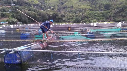 Soal Pengusiran PT Aquafarm dari Desa Sirungkungon Terkait Konflik para Ahli Waris