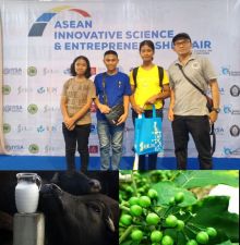 Penelitian Rimbang dan Susu Kerbau  Siswa SMP Sigumpar Terpilih jadi Duta Indonesia Young Sains Assosation International Seoul di Korsel