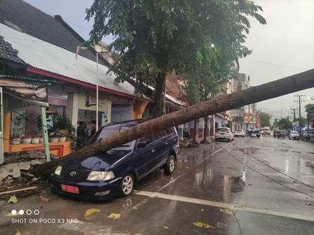 Angin Kencang Landa Sibolga, Satu Unit  Mobil Dinas KPU Tertimpa Pohon