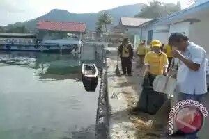 Tim Aksi Kebersihan Danau Toba Hari Ini Berada di  Bakkara