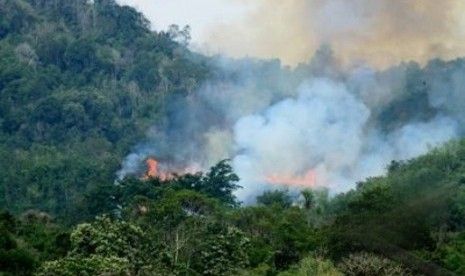 Hutan Sering Terbakar, Samosir Berpotensi Banjir Bandang