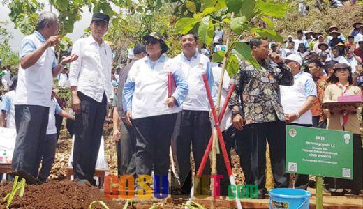 Jokowi Buka HMPI di Yogyakarta, Tengku Erry Tanam Pohon Nangka
