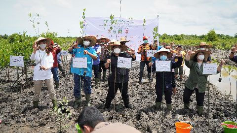 Lestarikan Lingkungan Pesisir, 10 Ribu Bibit Mangrove Ditanami di Langkat