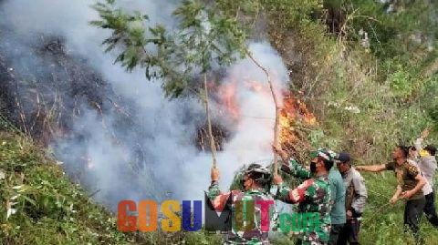 TNI - Polri Aceh Tengah Buru Pelaku Pembakar Hutan dan Lahan