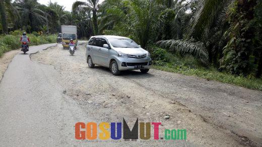 Jalinsum Sibuhuan-Perbatasan Riau Tercatat 41 Titik Jalan Rusak
