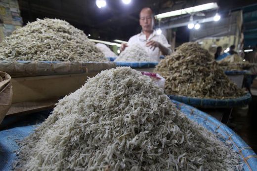 Ikan Teri Nasi Asal Thailand ‘Serbu’ Pasar Tradisional Medan