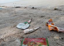 Masalah Sampah Marak di Pantai Labu, Camat: Pembersihan Bergantung Mahasiswa Praktik Lapangan
