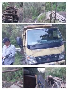 LSM Pakar Toba Laporkan Dugaan Kegiatan Illegal Logging di Kawasan Hutan Lindung Simakkuk