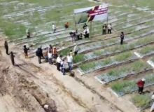 Progres Proyek Irigasi Food Estate di Humbahas Baru 37,86%