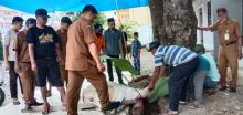 348 Hewan Kurban Disembelih di Bahorok
