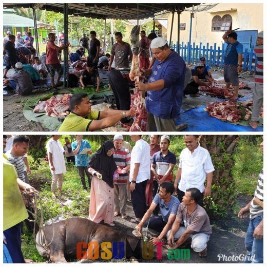 Karyawan dan Karyawati  PT VAL Hutalombang  Sembelih 5  Ekor Lembu Kurban