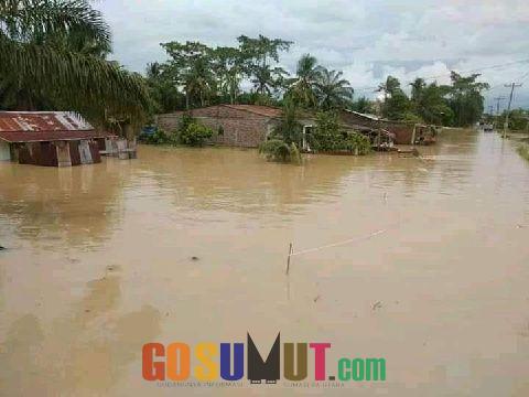 Banjir di Sergai Meluas, Ribuan Rumah dan Persawahan Terendam  