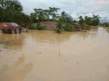Banjir di Sergai Meluas, Ribuan Rumah dan Persawahan Terendam  
