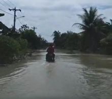 Hujan Deras , Ratusan Rumah dan Persawahan Milik Warga Sergai Terendam Banjir